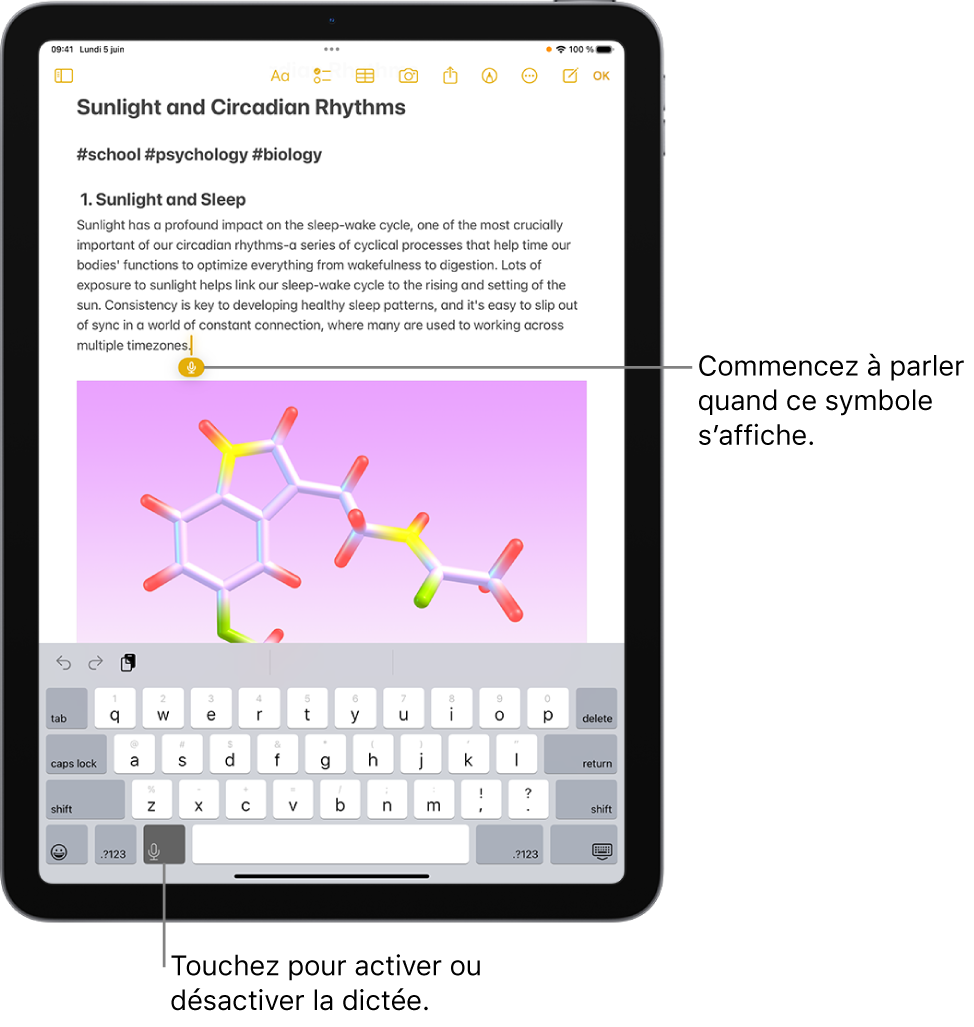 Le clavier à l’écran est ouvert dans l’app Notes. Le bouton Dictée en bas du clavier est sélectionné et le bouton Dictée apparaît sous le point d’insertion dans le champ de texte.