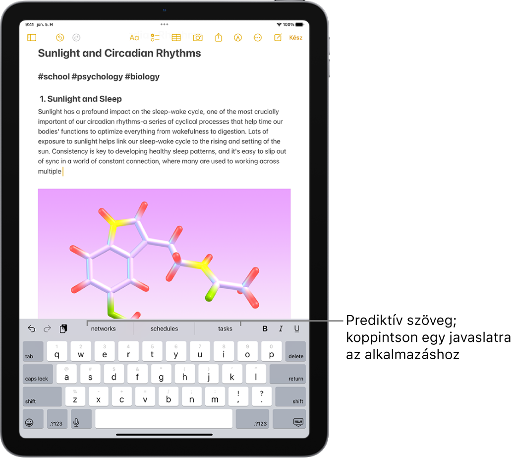 A képernyő-billentyűzet meg van nyitva a Jegyzetek appban. A szövegmezőbe szöveg van beírva, és a billentyűzet felett prediktív szövegjavaslatok jelennek meg a következő szóhoz kapcsolódóan.