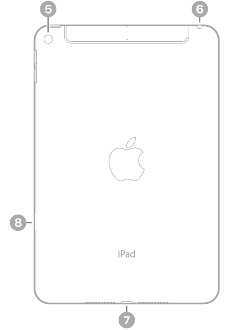 Az iPad mini hátulnézete, amelyen a feliratok bal felső részen lévő hátoldali kamerára, a jobb felső részen lévő fejhallgatócsatlakozóra, a készülék aljának közepén lévő Lightning-csatlakozóra, a bal alsó részen lévő SIM-tálcára (Wi-Fi + Cellular) mutatnak.
