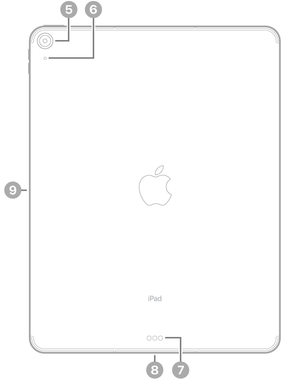 Tampilan belakang iPad Air dengan keterangan untuk kamera belakang dan mikrofon di kiri atas, Smart Connector dan konektor USB-C di tengah bawah, dan konektor magnetis untuk Apple Pencil di sebelah kiri.