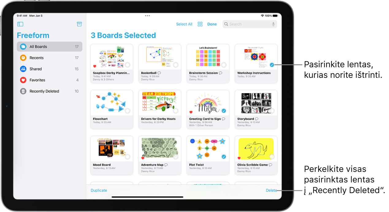 „Freeform“ rodinyje „All Boards“ pasirinktos kelios lentos. Apatiniame dešiniajame ekrano kampe yra mygtukas „Delete“.