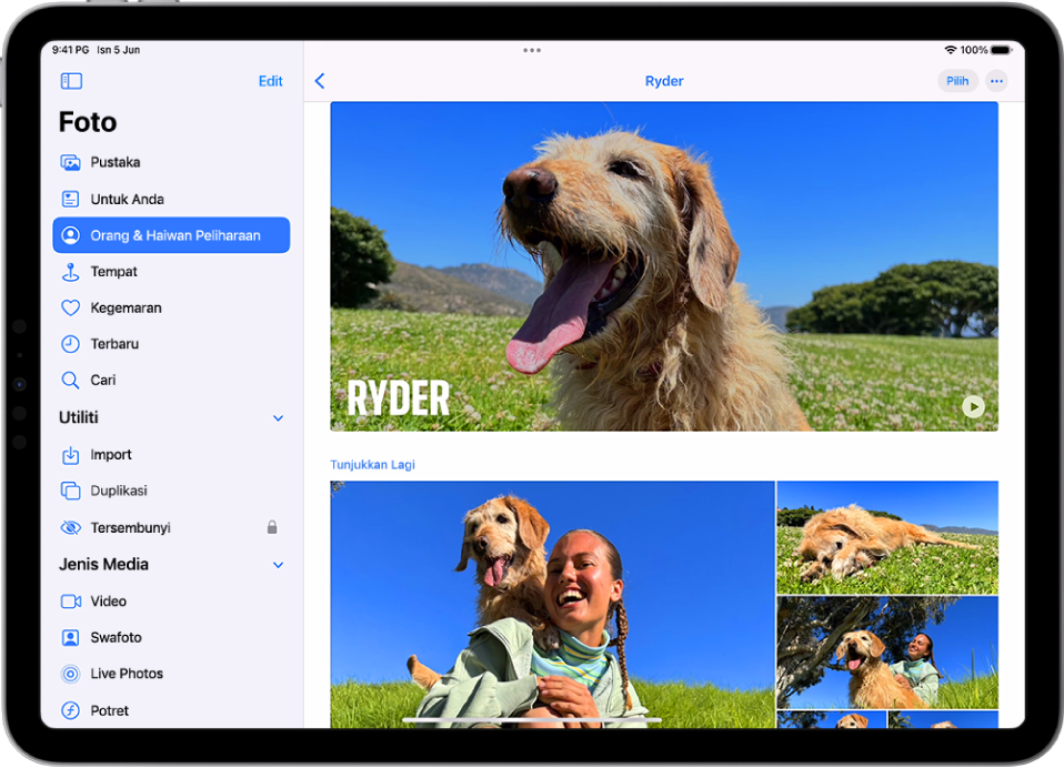 Skrin Orang & Haiwan Peliharaan dalam app Foto menunjukkan video dan foto haiwan peliharaan.