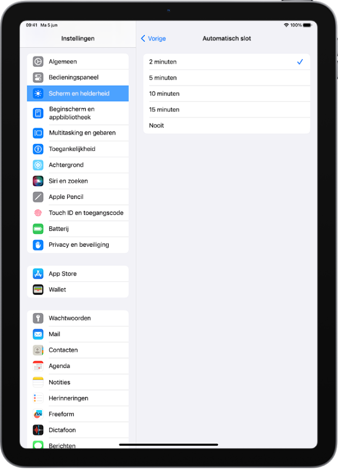 Het scherm 'Automatisch slot', met instellingen voor de tijdsduur waarna de iPad automatisch wordt vergrendeld.