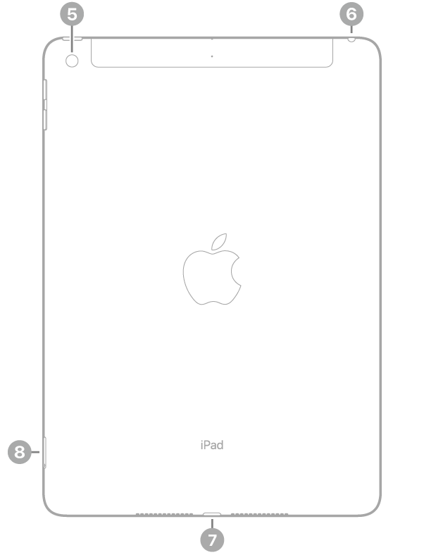 iPad sett bakfra, med bildeforklaringer for kameraet på baksiden øverst til venstre, hodetelefonutgangen øverst til høyre, Lightning-tilkoblingen nederst i midten og SIM-skuffen (Wi-Fi + Cellular) nederst til venstre.