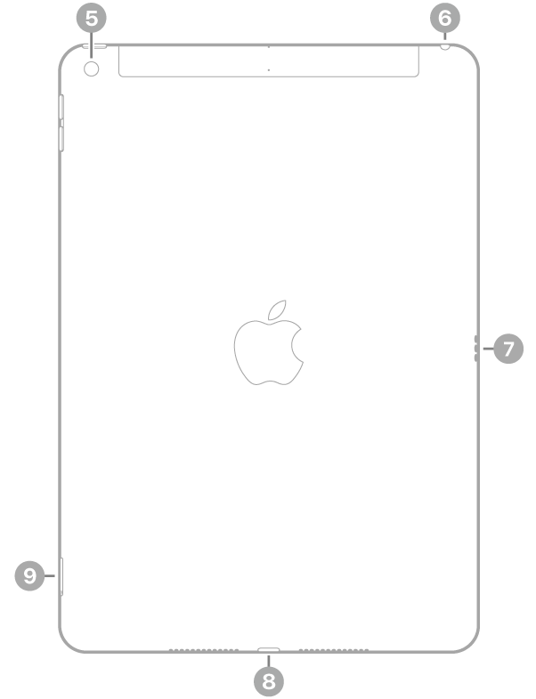 iPad sett bakfra, med bildeforklaringer for kameraet på baksiden øverst til venstre, hodetelefonutgangen øverst til høyre, Smart Connector til høyre, Lightning-tilkoblingen nederst i midten og SIM-skuffen (Wi-Fi + Cellular) nederst til venstre.