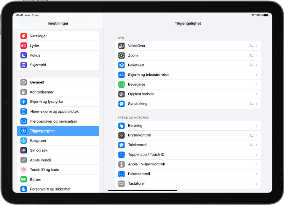 Innstillinger-skjermen på iPad. På venstre side av skjermen vises Innstillinger-sidepanelet. Tilgjengelighet er markert. På høyre side av skjermen vises valgene for å tilpasse Tilgjengelighet-funksjoner.