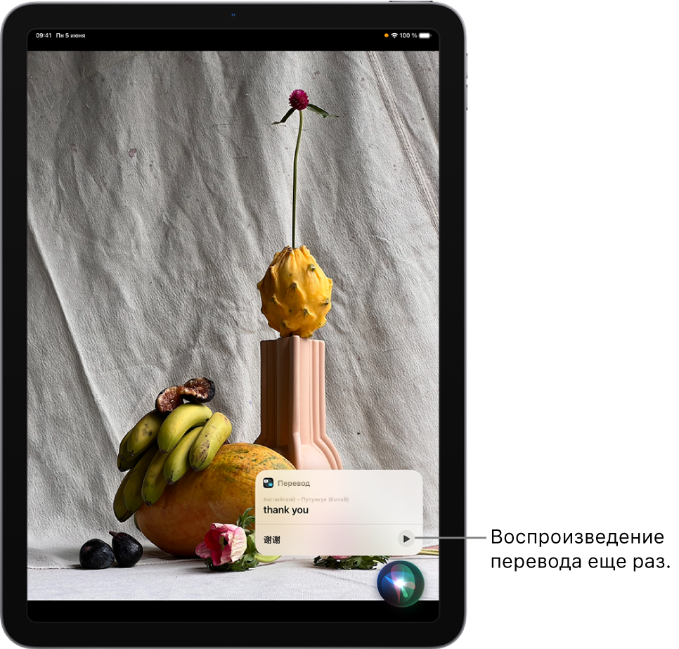 Siri отображает перевод английской фразы «спасибо» на французский. С помощью кнопки справа от перевода можно еще раз озвучить перевод.