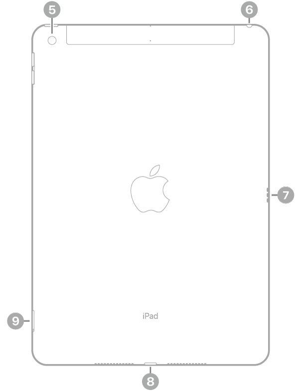Pogled od zadaj na iPad z oblački za zadnjo kamero zgoraj levo, vtičnico za slušalke zgoraj desno, priključkom Smart Connector na desni, priključkom Lightning spodaj na sredini in pladnjem za kartico SIM (Wi-Fi + Cellular) spodaj levo.
