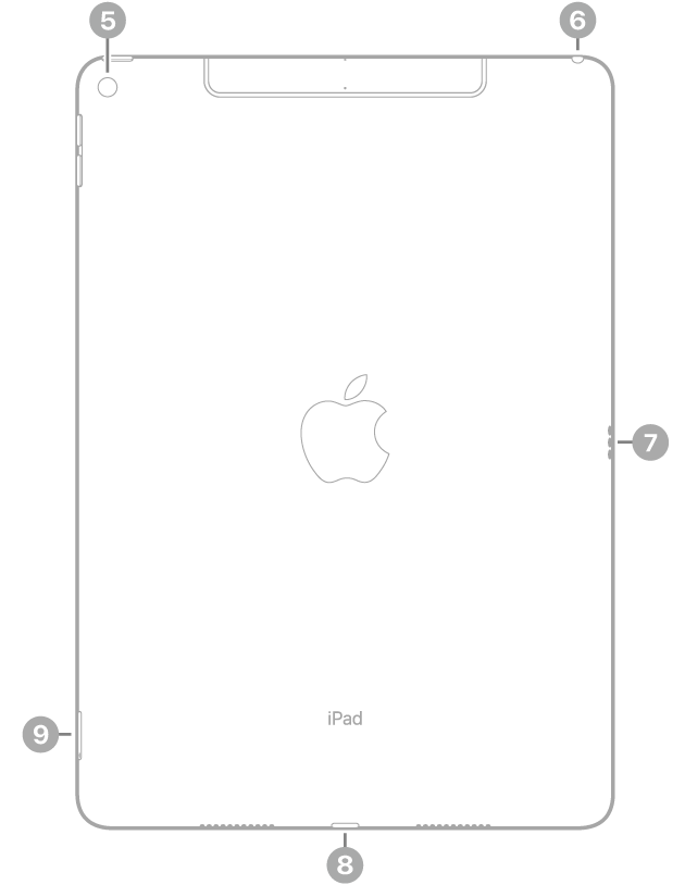 Pogled od zadaj na iPad Air z oblački za zadnjo kamero zgoraj levo, vtičnico za slušalke zgoraj desno, priključkom Smart Connector na desni, priključkom Lightning spodaj na sredini in pladnjem za kartico SIM (Wi-Fi + Cellular) spodaj levo.
