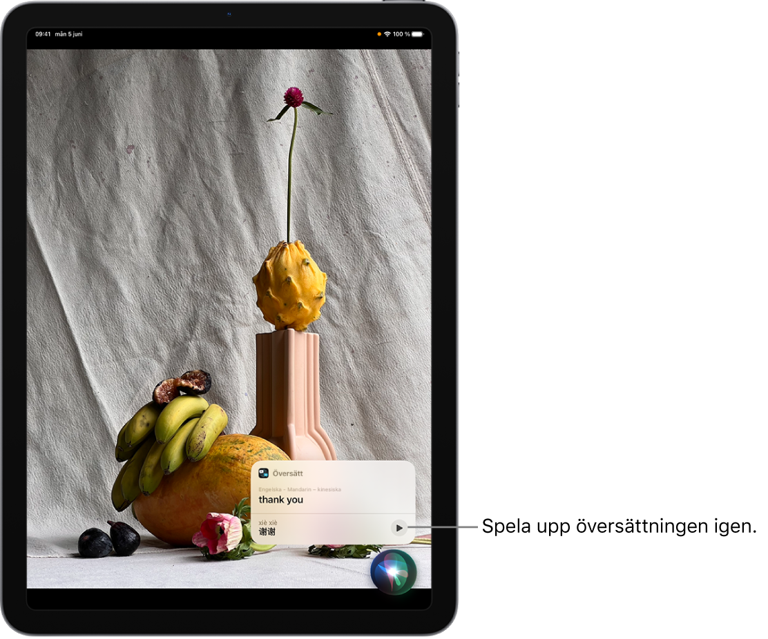 Siri visar en översättning av den engelska frasen thank you på mandarin. Till höger om översättningen finns en knapp som du kan trycka på om du vill höra översättningen igen.