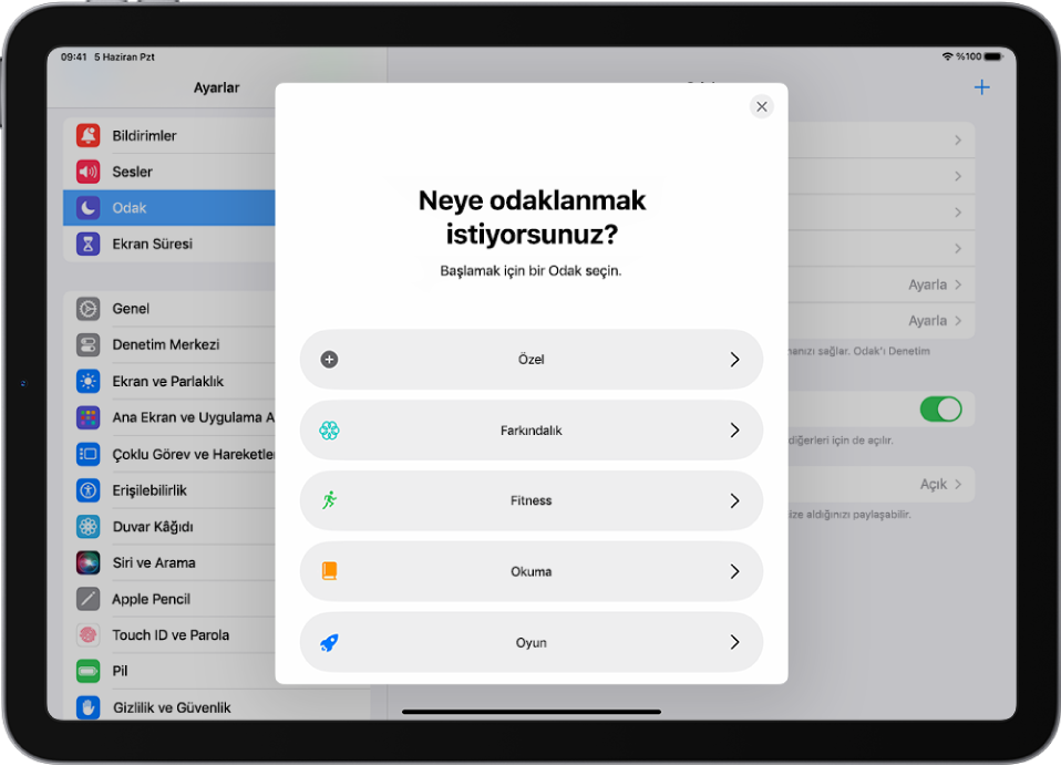 Özel, Fitness, Oyun, Farkındalık ve Okuma da dahil olmak üzere sağlanan ek Odak seçeneklerinden biri için Odak ayarlama ekranı.