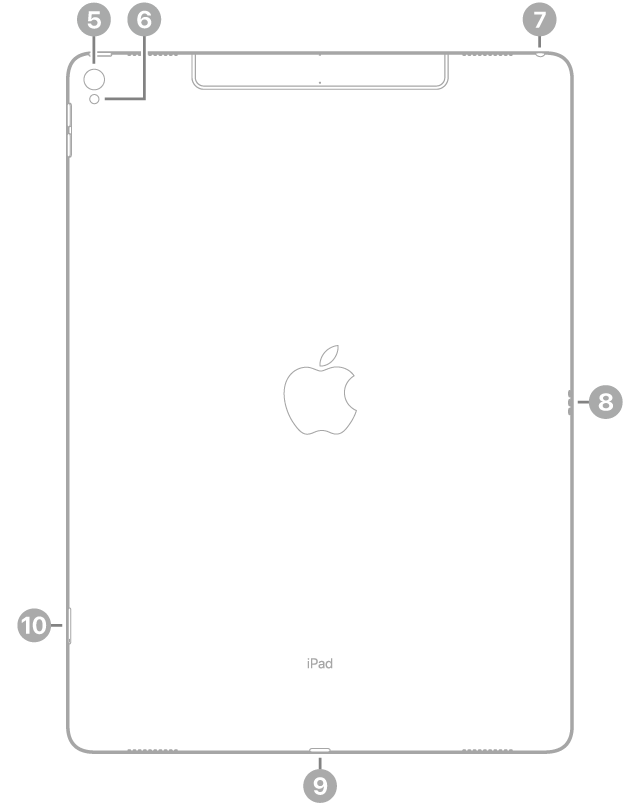 iPad Pro’nun, sol üstte arka kameraya ve flaşa, sağ üstte kulaklık jakına, sağda Smart Connector’a, alt ortada Lightning bağlayıcısına ve sol altta SIM tepsisine (Wi-Fi + Cellular) belirtme çizgileriyle arkadan görünüşü.