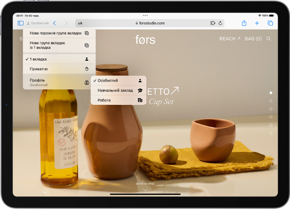 У Safari праворуч від поля пошуку відкрито меню «Група вкладок». Унизу меню вибрано «Профіль», і меню містить опції: «Особистий», «Навчальний» і «Робочий».