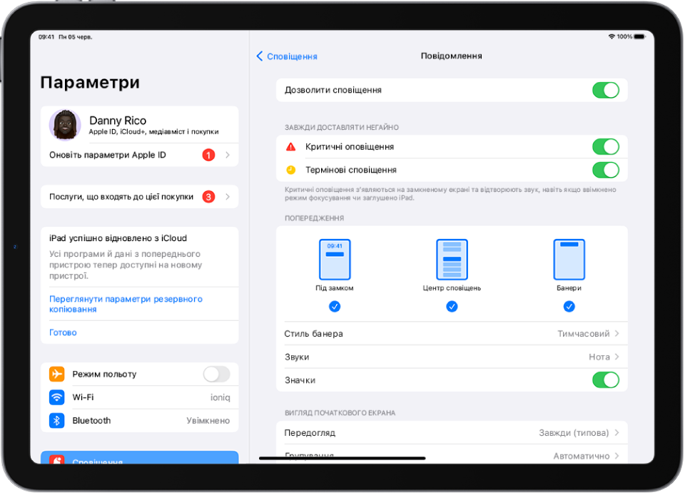 Екран iPad з параметрами Повідомлень для сповіщень і сигналів.