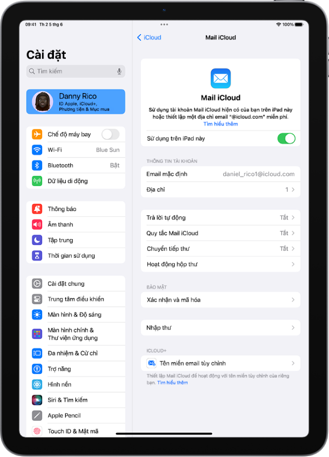 Ứng dụng Cài đặt, mở đến màn hình Mail iCloud. Tên miền email tùy chỉnh nằm ở cuối menu.