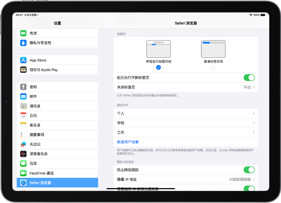 “设置” App 中的“Safari 浏览器”部分。“标签页”下方是“单独显示标签页栏”和“紧凑标签页栏”选项。