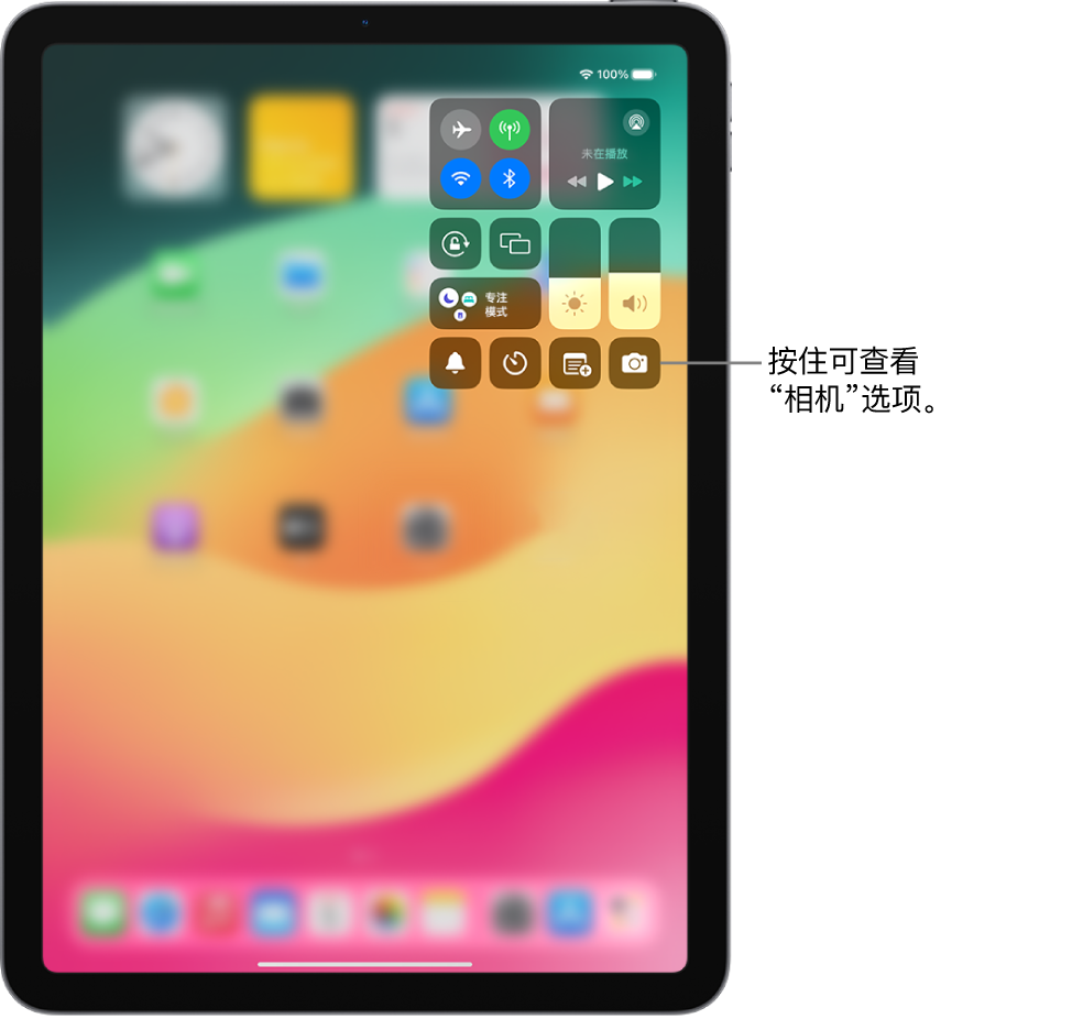 iPad 控制中心。对于无线局域网 + 蜂窝网络 iPad 机型，控制中心左上方群组显示飞行模式、蜂窝数据、无线局域网和蓝牙控制。“相机”控制位于右下方。