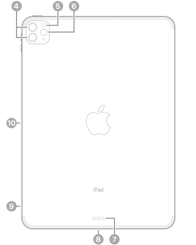 iPad Pro 背面视图，标注指向左上方的后置摄像头和闪光灯、底部中央的智能接点和 USB-C 接口、左下方的 SIM 卡托（无线局域网 + 蜂窝网络机型）以及左侧用于 Apple Pencil 的磁性接口。