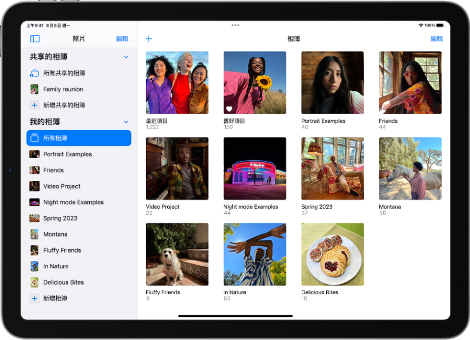「照片」側邊欄於螢幕左側打開。在「我的相簿」標題下方，已選取名為「所有項目」。iPad 畫面的其餘部分以格狀顯示相簿的縮覽圖。
