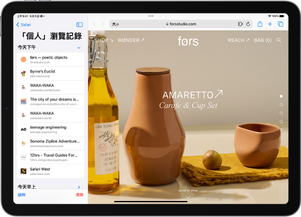 打開的網頁。Safari 瀏覽記錄在螢幕左側打開，顯示最近參訪的網站列表，下方帶有「清除」按鈕。