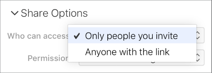The “Who can access” pop-up menu in Share Options.