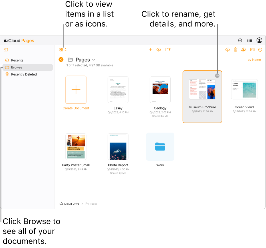 The document manager in browse view, showing Pages documents as icons in a grid. The More button (three dots) is visible in the upper-right corner of the selected document. Above the documents, the left side of the toolbar has a pop-up menu where you can choose to view items as icons or in a list. On the right side of the toolbar are buttons to download, collaborate, email, or delete.