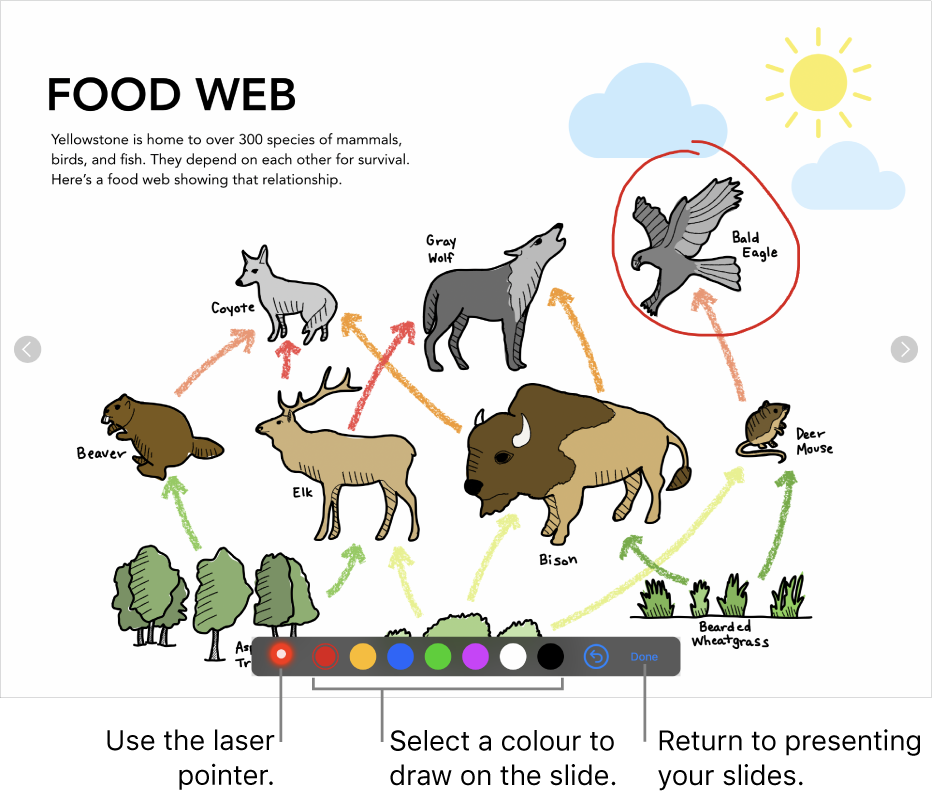 A slide in slide illustration mode showing the laser pointer and colour selection controls.