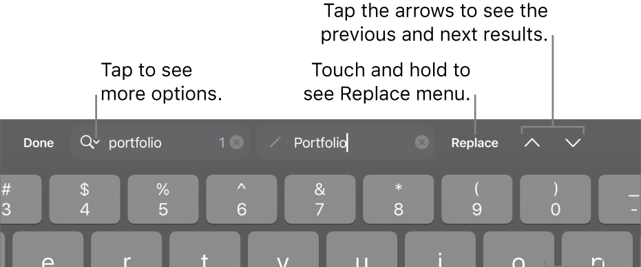 The Find & Replace controls above the keyboard with callouts to the Search Options, Replace, Go Up and Go Down buttons.