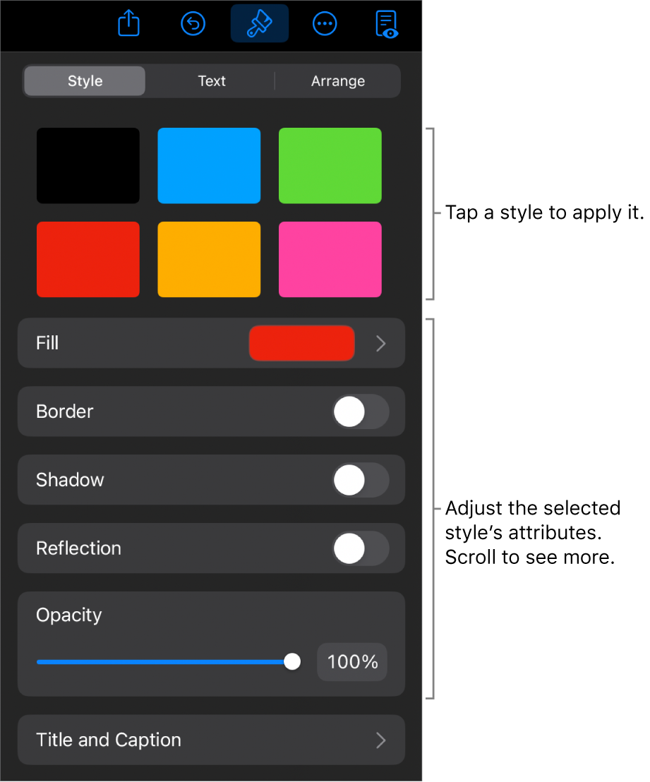 The Style tab of the Format menu with object styles at the top and controls below them to change the border, shadow, reflection and opacity.