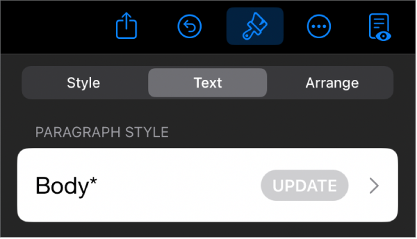 A paragraph style with an asterisk next to it and an Update button on the right.
