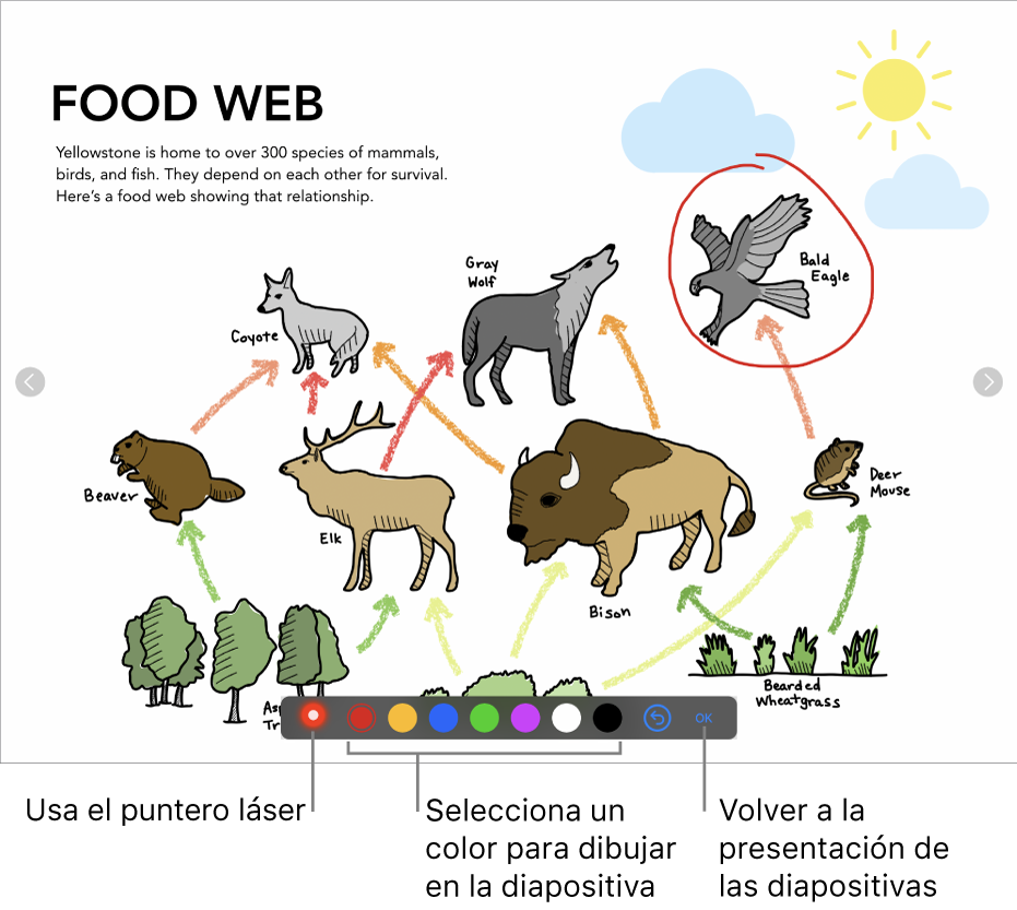 Una diapositiva en el modo de ilustración de diapositiva con el puntero láser y los controles de selección de color.