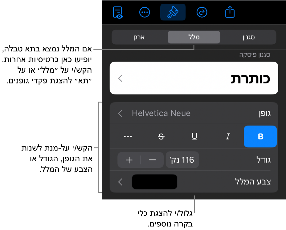 כלי בקרה של מלל בתפריט ״עיצוב״ להגדרת סגנונות, גופן, גודל וצבע עבור פיסקאות ותווים.