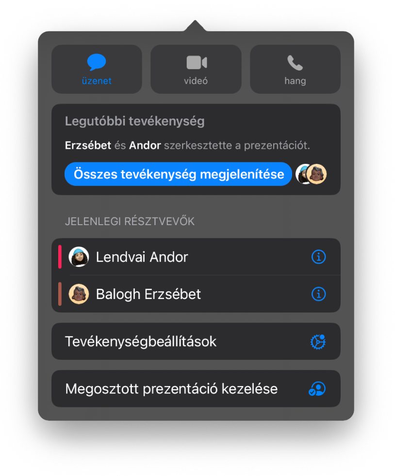 Az együttműködés menü, amelyben a prezentáción együttműködő személyek nevei láthatók.