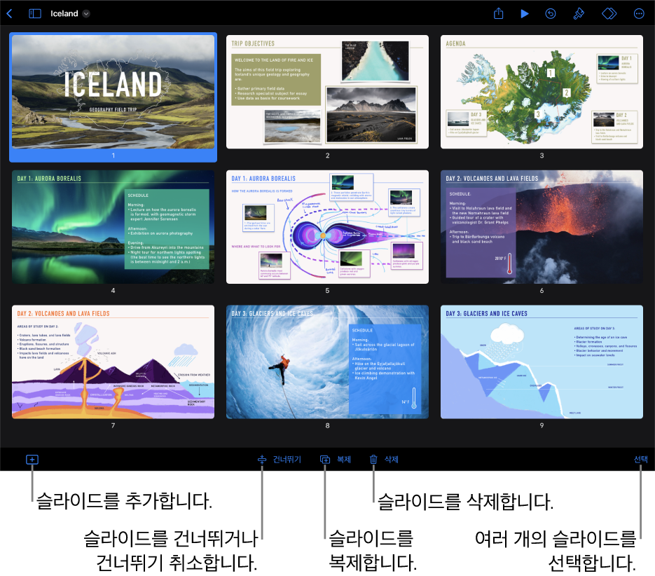 화면 하단의 라이트 테이블 보기에 슬라이드를 추가, 건너뛰기, 복제, 삭제하고, 여러 개의 슬라이드를 선택하는 버튼이 있음.