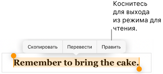 Выбрано предложение; над ним отображается контекстное меню с кнопками «Скопировать» и «Правка».