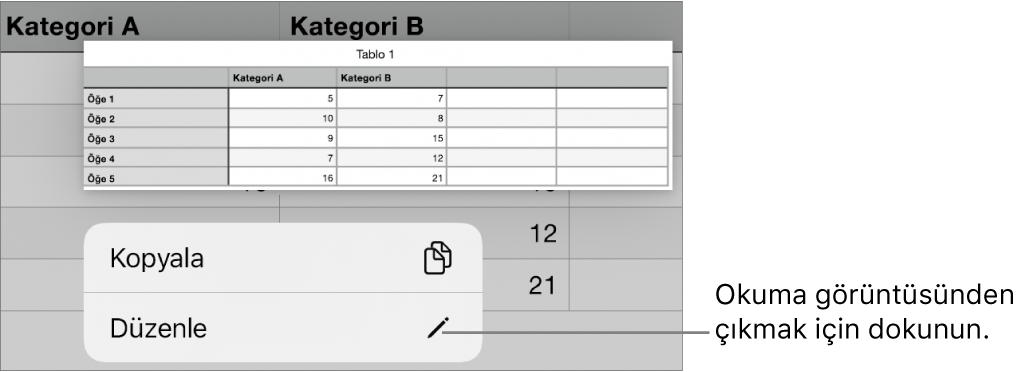 Bir tablo hücresi seçilir, üstünde Kopyala ve Düzen düğmeleri ile bir menü bulunur.