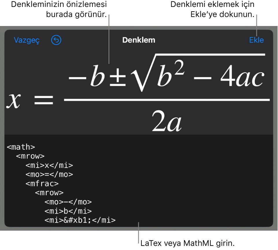 MathML komutları kullanılarak yazılmış bir denklemi ve onun üstünde formülün önizlemesini gösteren Denklem sorgu kutusu.