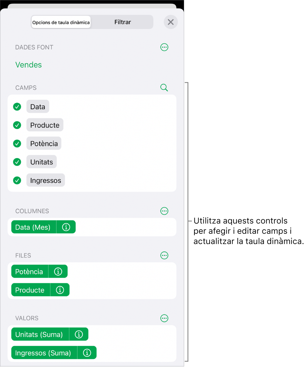 El menú “Opcions de taula dinàmica” que mostra els camps a les seccions Columnes, Files i Valors, a més dels controls per editar els camps.