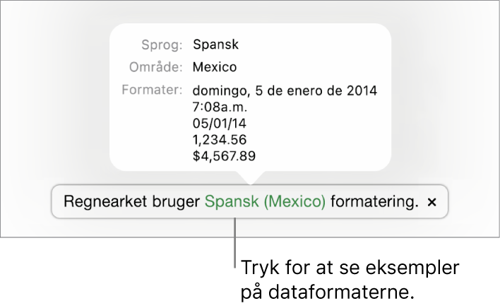 Notifikationen om de forskellige indstillinger af sprog og område, der viser eksempler på den formatering, som hører til sproget og området.