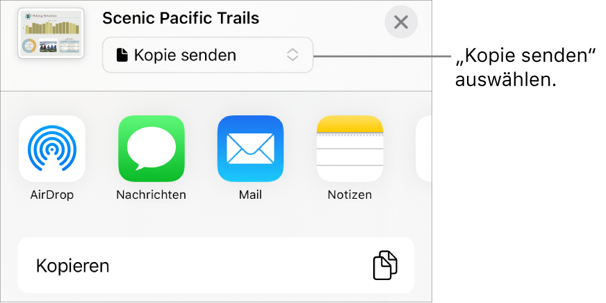 Das Menü „Teilen“, in dem „Kopie senden“ oben ausgewählt ist.