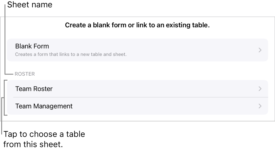 A list of tables that are in the same spreadsheet, with the option to create a blank form at the top.