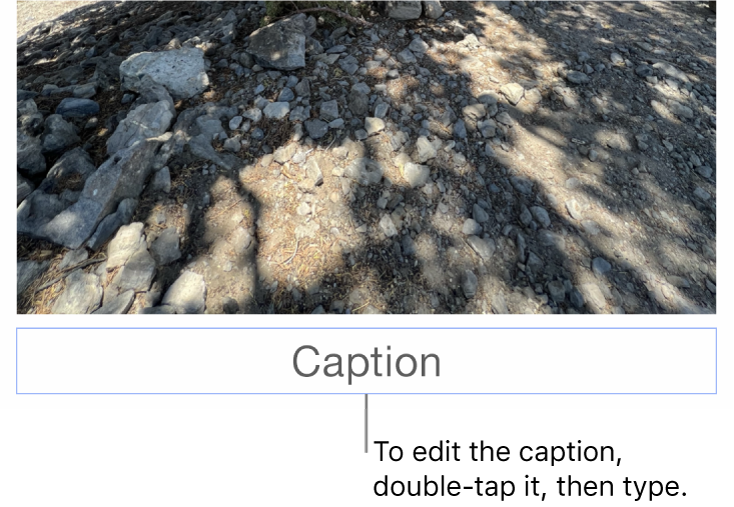 The placeholder caption, “Caption”, appears below a photo; a blue outline around the caption field shows it’s selected.