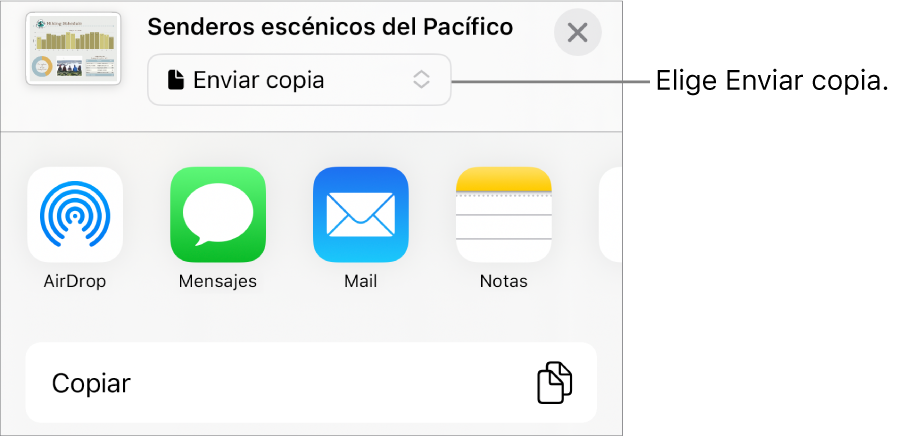 El menú Compartir con la opción Enviar copia seleccionada en la parte superior.