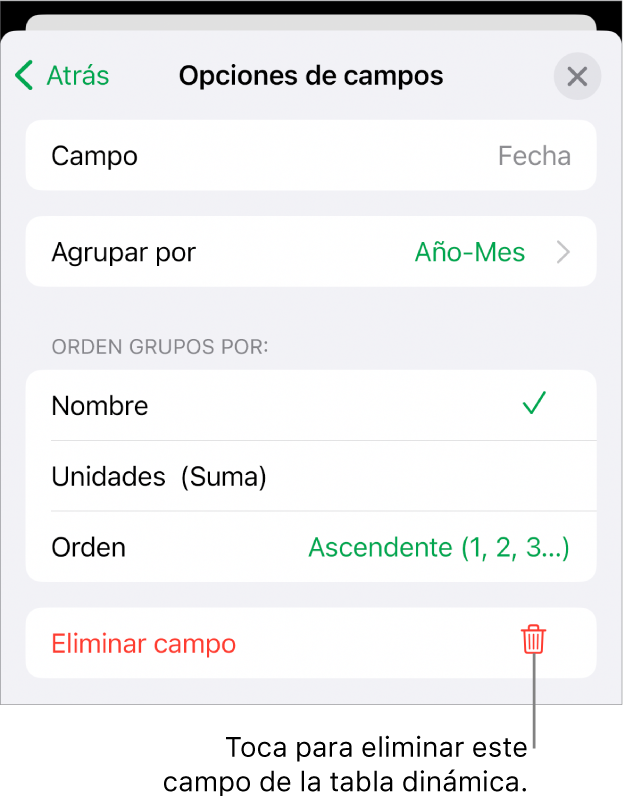 El menú Opciones de campos, mostrando los controles para agrupar y clasificar los datos, así como la opción para eliminar un campo.