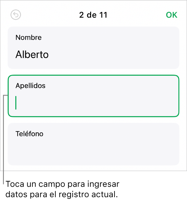 Se muestra un registro en un formulario con un campo activo con un punto de inserción.