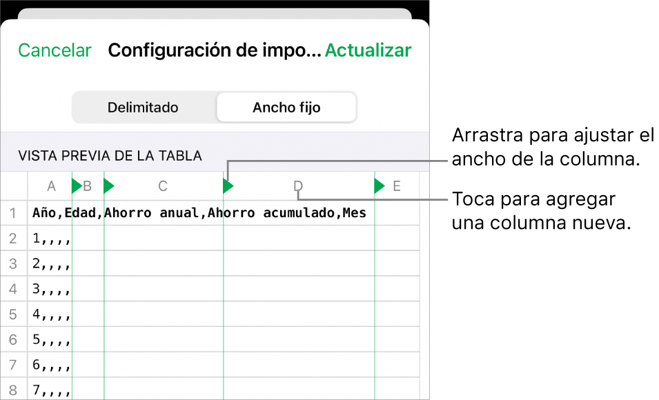 La configuración de importación de un archivo de texto de ancho fijo.