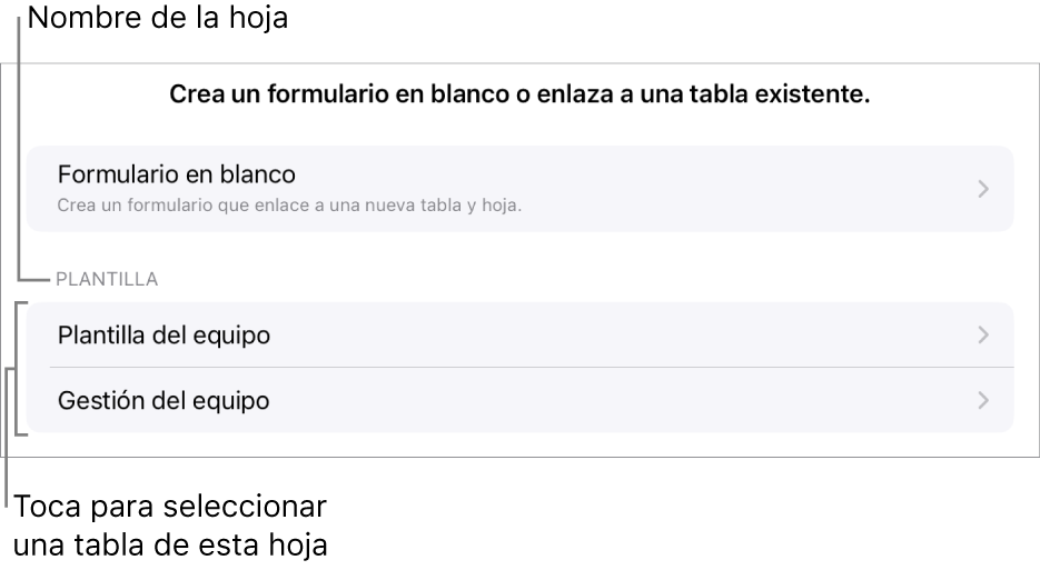 Una lista de tablas pertenecientes a la misma hoja de cálculo, con la opción de crear un formulario en blanco en la parte superior.