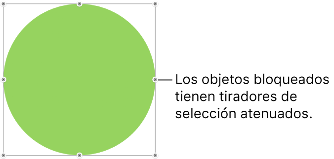 Un objeto bloqueado con tiradores de selección atenuados.