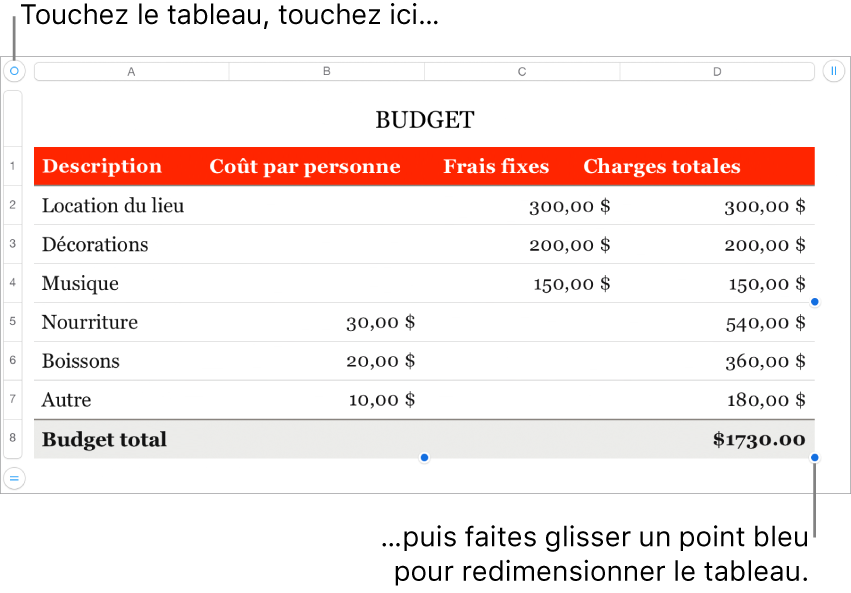 Un tableau sélectionné avec des points bleus pour le redimensionner.