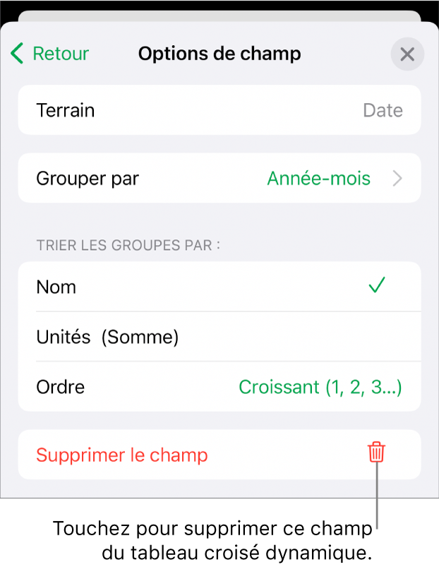 Menu Options de champ avec commandes de regroupement et de tri des données, ainsi que l’option de suppression de champ.